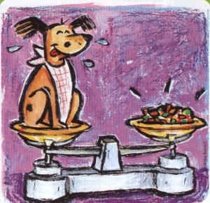 chien& balance